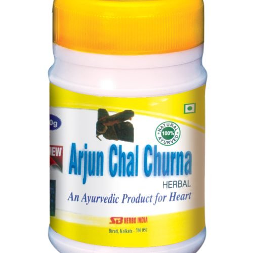 ARJUN CHAL CHURNA