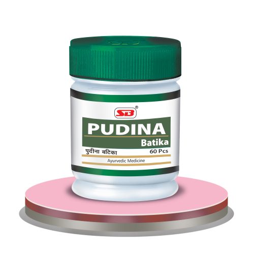 Pudina Batika